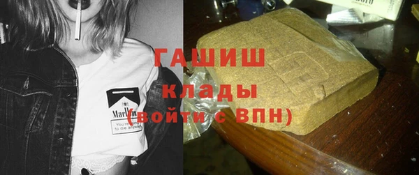 PSILOCYBIN Тында