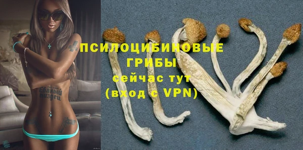 дурь Зуевка
