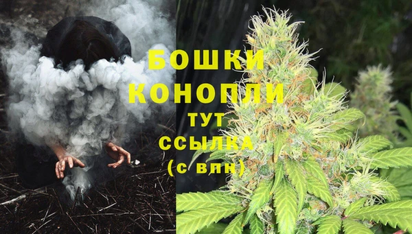 сатива Пестово