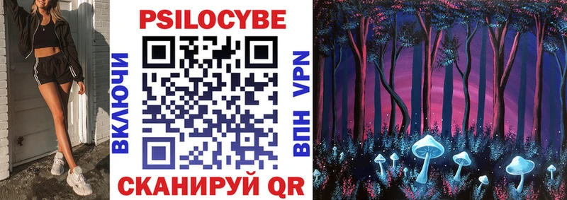 Псилоцибиновые грибы Psilocybine cubensis  omg как войти  Протвино 