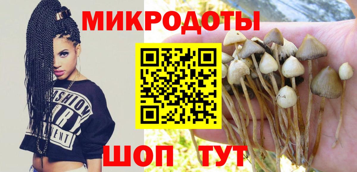 Галлюциногенные грибы Cubensis Протвино