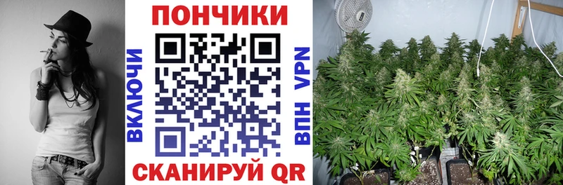 как найти закладки  Протвино  Конопля White Widow 